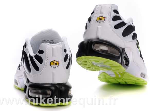 nike tn 2010 meilleurs populaires (3).JPG